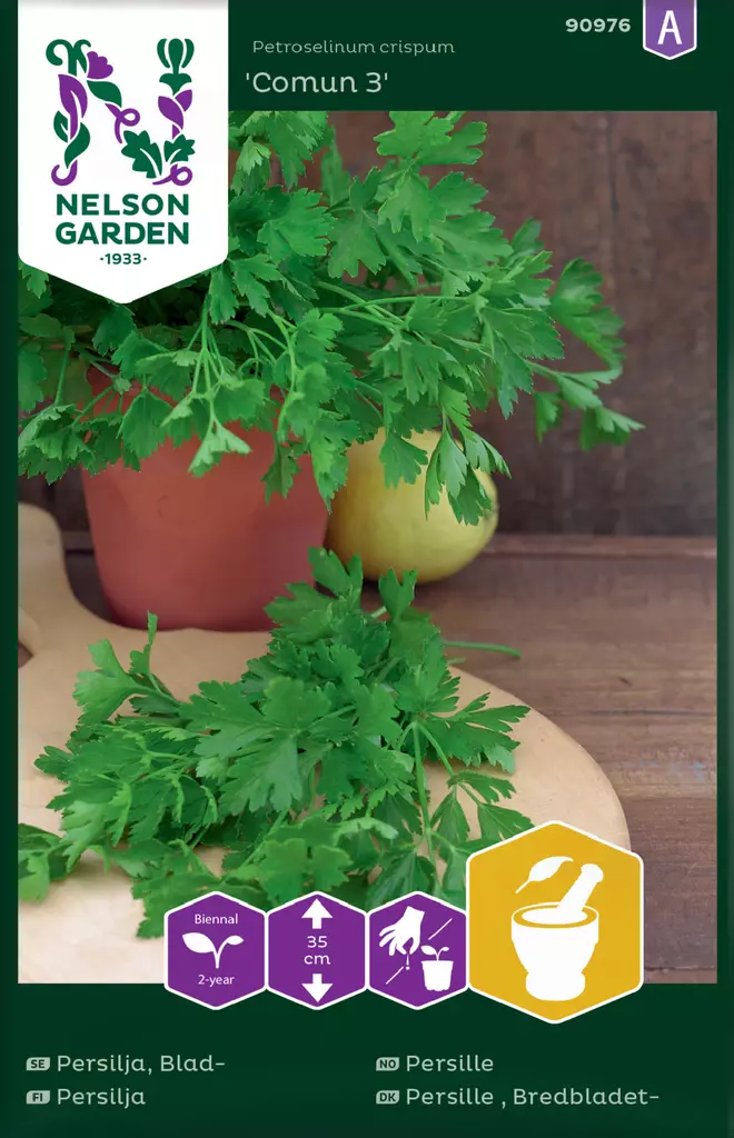 Persilja 'Comun 3', sileälehtinen siemen, Nelson Garden - Yrttien siemenet - 7312600909762 - 1