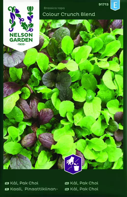 Pinaattikiinankaali sekoitus, siemen, Nelson Garden - Vihannesten siemenet - 7312600917132 - 1