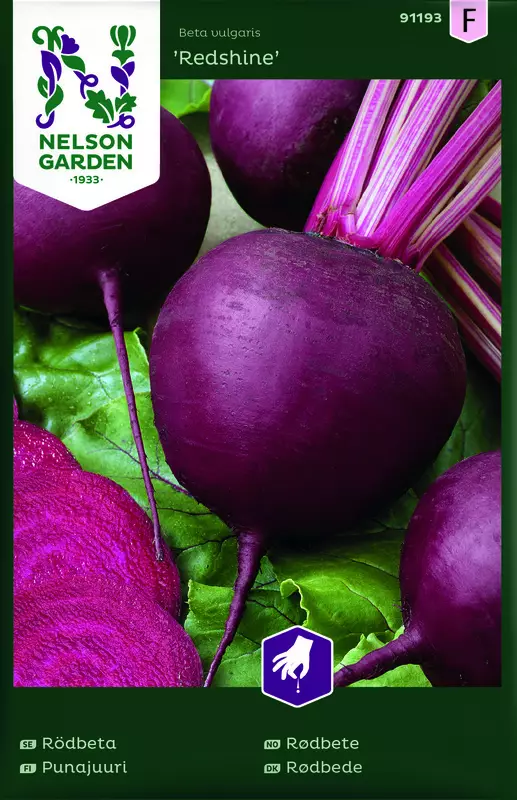 Punajuuri 'Redshine' siemen, Nelson Garden - Vihannesten siemenet - 7312600911932 - 1