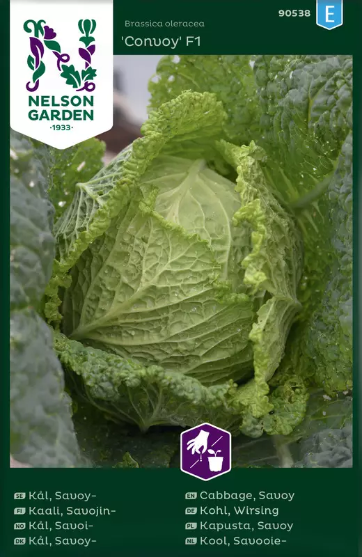 Savoijinkaali 'Convoy' F1 siemen, Nelson Garden - Vihannesten siemenet - 7312600905382 - 1