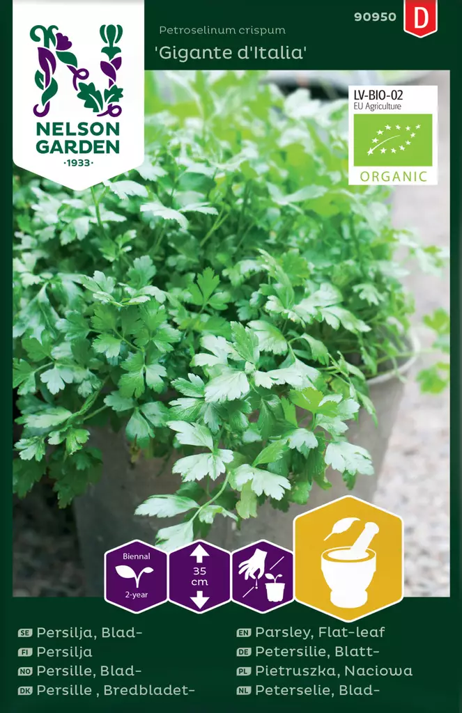 Sileälehtinen persilja 'Gigante d'Italia' siemen Nelson Garden - Yrttien siemenet - 7312600909502 - 1