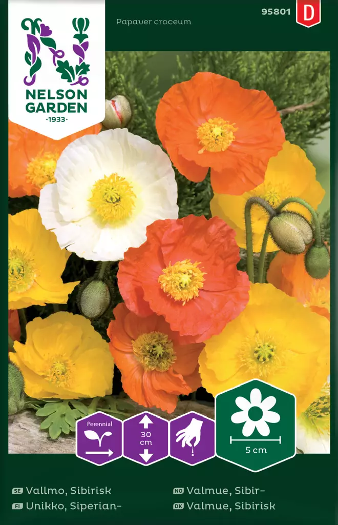 Siperianunikko, väriseos, siemen, Nelson Garden - Kukkien siemenet - 7312600958012 - 1