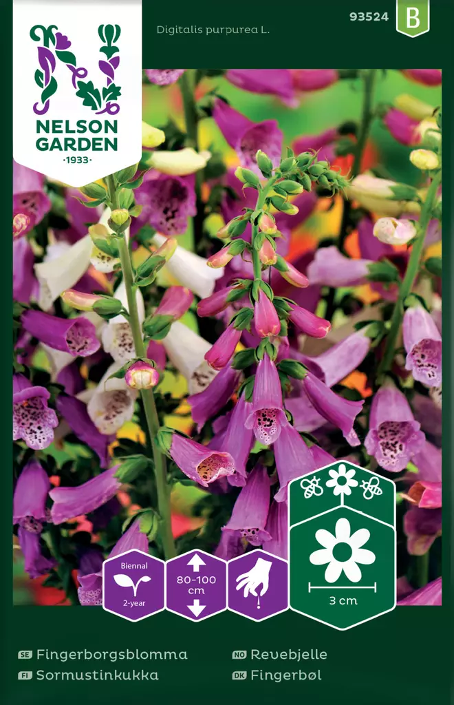 Sormustinkukka väriseos, siemen, Nelson Garden - Kukkien siemenet - 7312600935242 - 1