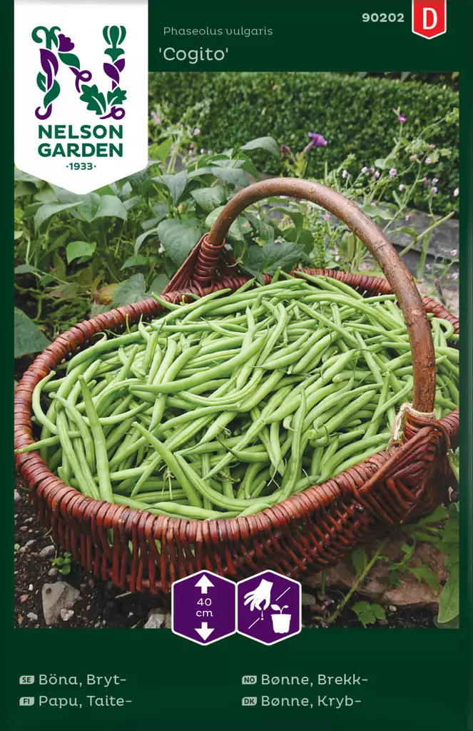 Taitepapu 'Cogito' siemen, Nelson Garden - Vihannesten siemenet - 7312600902022 - 1