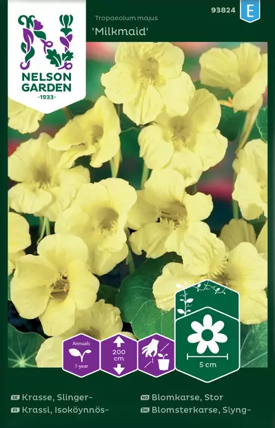 Isoköynnöskrassi 'Milkmaid' siemen, Nelson Garden - Kukkien siemenet - 7312600938243 - 1