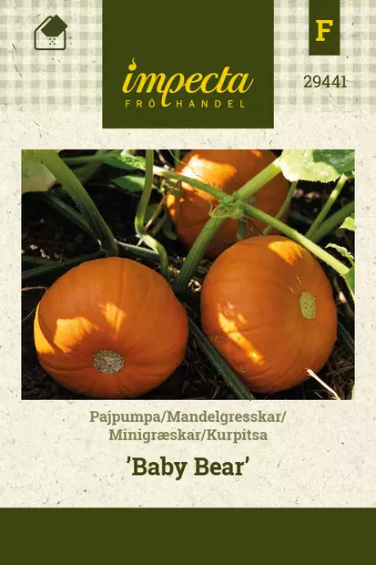 Kurpitsa 'Baby Bear', siemen, Impecta - Vihannesten siemenet - 7332756294413 - 1