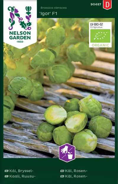 Ruusukaali 'Igor' F1 siemen, Nelson Garden - Vihannesten siemenet - 7312600904873 - 1