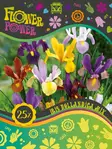Flower Power Hollanninkurjenmiekkamix 25 kpl - Syyssipulit - 8711148241843 - 1