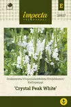 Kellopeippi 'Crystal Peak White', siemen, Impecta - Annossiemenet - 7332756289273 - 1
