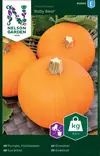 Kurpitsa 'Baby Bear' siemen, Nelson Garden - Vihannesten siemenet - 7312600909953 - 1