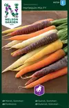 Porkkana 'Harlequin Mix' F1 siemen, Nelson Garden - Vihannesten siemenet - 7312600907393 - 1