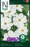 Punakosmoskukka 'Purity' siemen, Nelson Garden - Kukkien siemenet - 7312600950443 - 1