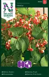 Ruusupapu 'Hestia' siemen, Nelson Garden - Vihannesten siemenet - 7312600901223 - 1