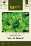 Salaattivuonankaali Verte de Cambrai', siemen, Impecta - Vihannesten siemenet - 7332756295793 - 1