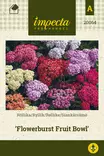 Siankärsämö 'Flowerburst Fruit Bowl', siemen, Impecta - Annossiemenet - 7332756200643 - 1