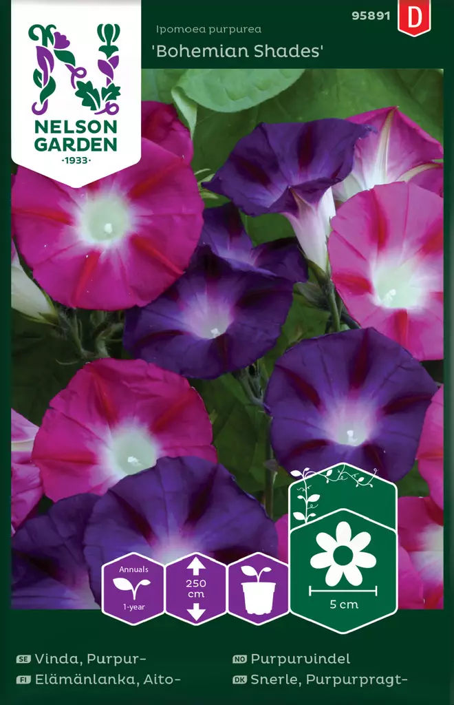 Aitoelämänlanka 'Bohemian Shades' siemen, Nelson Garden - Kukkien siemenet - 7312600958913 - 1