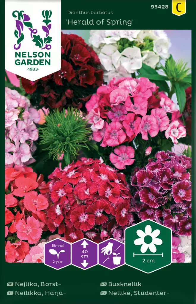 Harjaneilikka 'Herald of Spring' siemenseos, Nelson Garden - Kukkien siemenet - 7312600934283 - 1