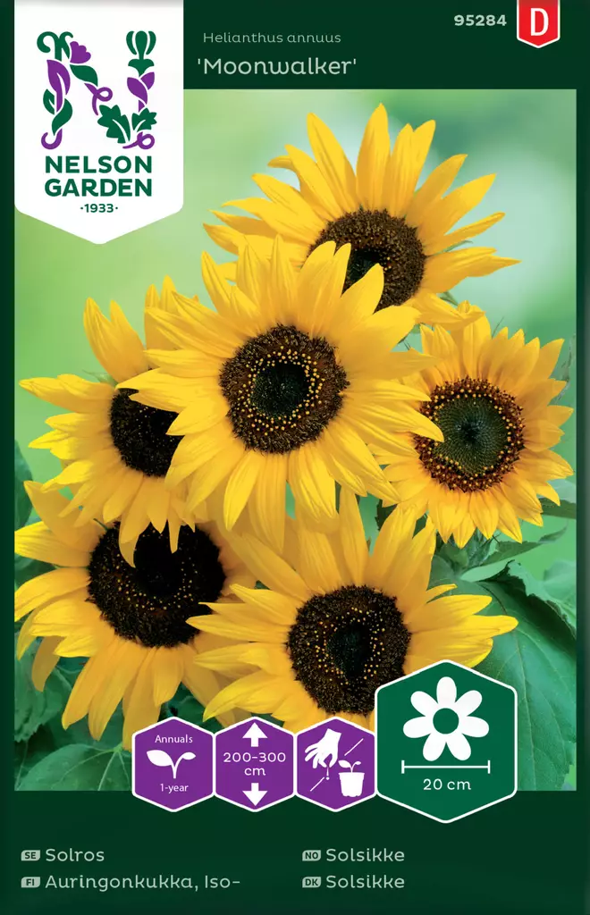 Isoauringonkukka 'Moonwalker' siemen, Nelson Garden - Kukkien siemenet - 7312600952843 - 1