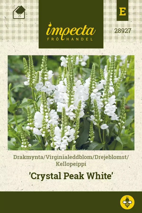 Kellopeippi 'Crystal Peak White', siemen, Impecta - Annossiemenet - 7332756289273 - 1