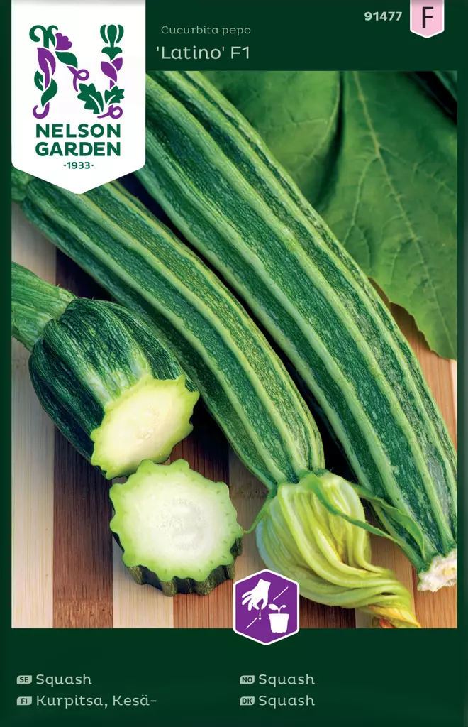 Kesäkurpitsa 'Latino' F1 siemen, Nelson Garden - Vihannesten siemenet - 7312600914773 - 1