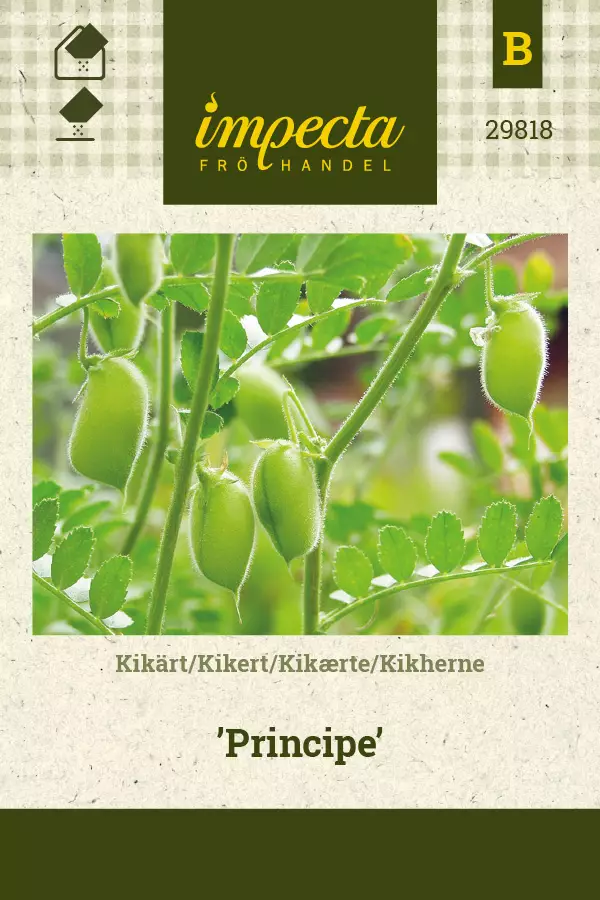 Kikherne 'Principe', siemen,Impecta - Vihannesten siemenet - 7332756298183 - 1