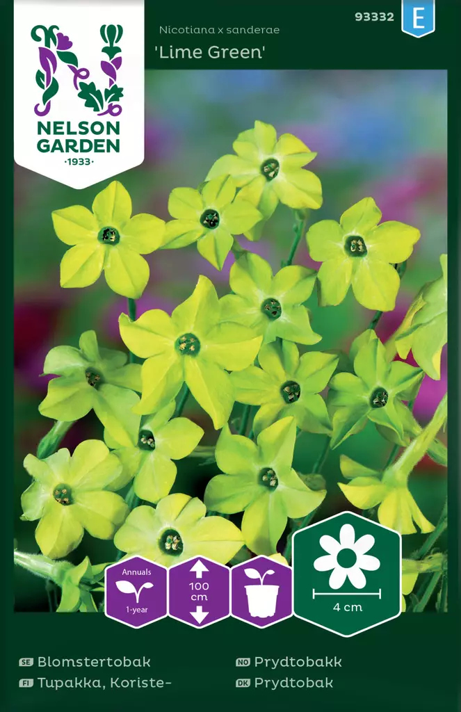 Koristetupakka 'Lime Green' siemen, Nelson Garden - Kukkien siemenet - 7312600933323 - 1