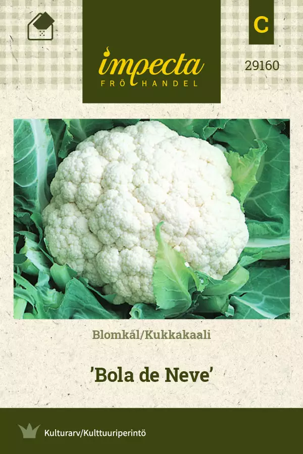 Kukkakaali 'Bola de Neve', siemen, Impecta - Annossiemenet - 7332756291603 - 1