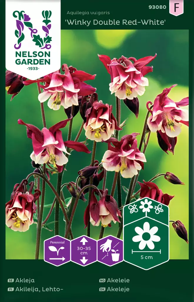 Lehtoakileija 'Winky Red White' siemen, Nelson Garden - Kukkien siemenet - 7312600930803 - 1
