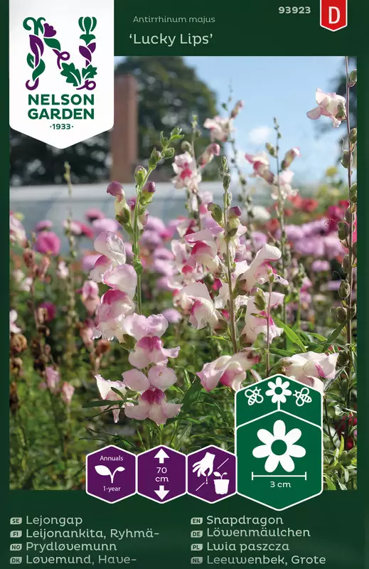 Leijonankita 'Lucky Lips' , siemen, Nelson Garden - Kukkien siemenet - 7312600939233 - 1