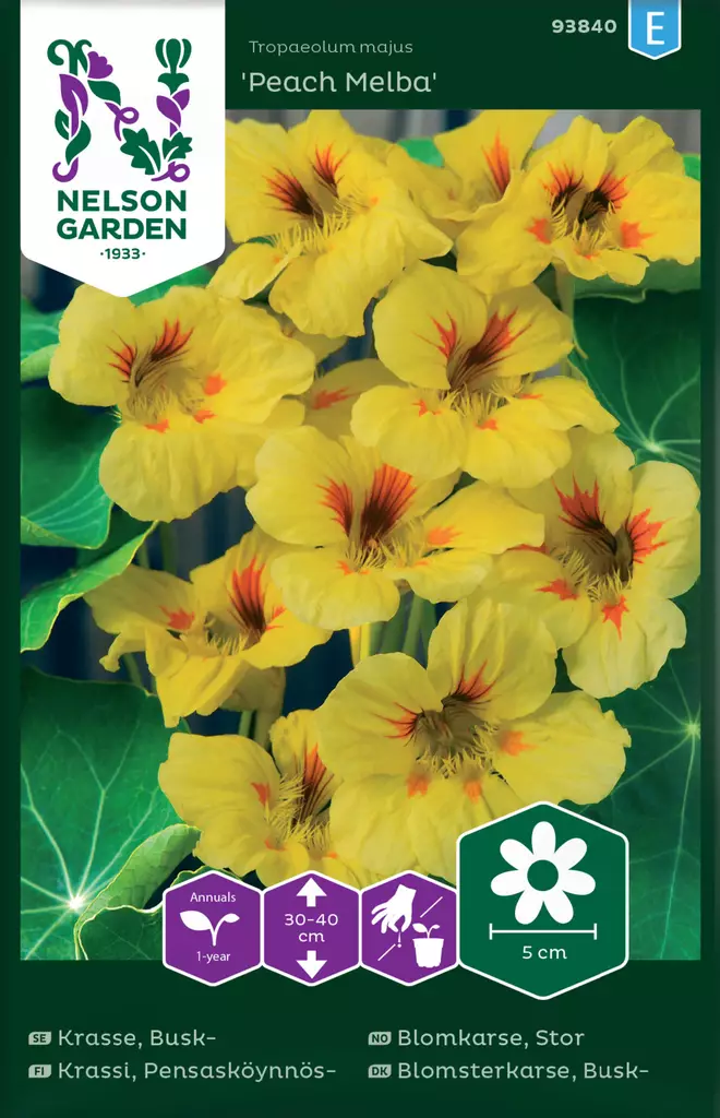 Pensasköynnöskrassi 'Peach Melba' siemen, Nelson Garden - Kukkien siemenet - 7312600938403 - 1