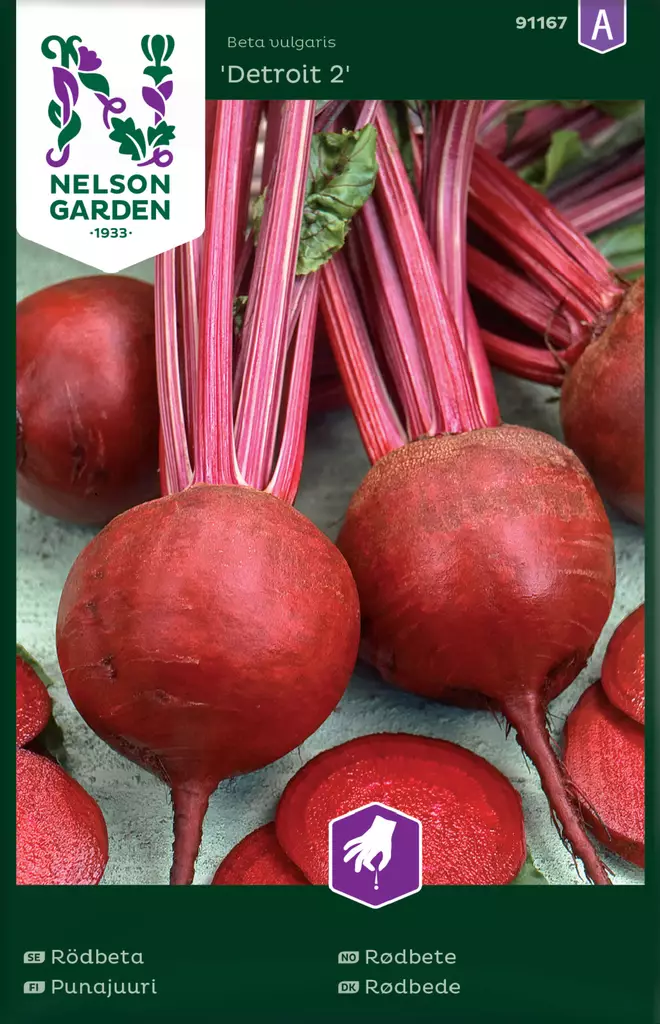 Punajuuri 'Detroit 2' siemen, Nelson Garden - Vihannesten siemenet - 7312600911673 - 1