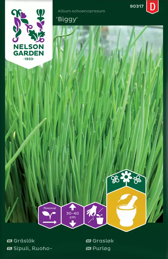 Ruohosipuli 'Biggy' siemen, Nelson Garden - Yrttien siemenet - 7312600903173 - 1