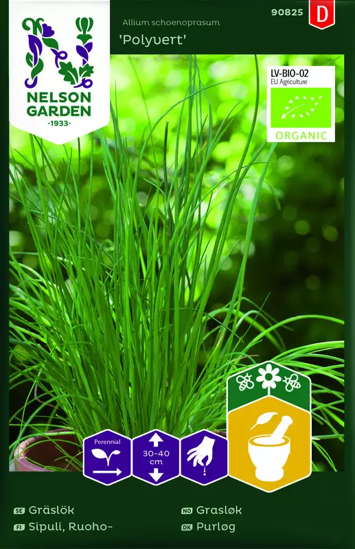 Ruohosipuli 'Polyvert' siemen, luomu, Nelson Garden - Vihannesten siemenet - 7312600908253 - 1
