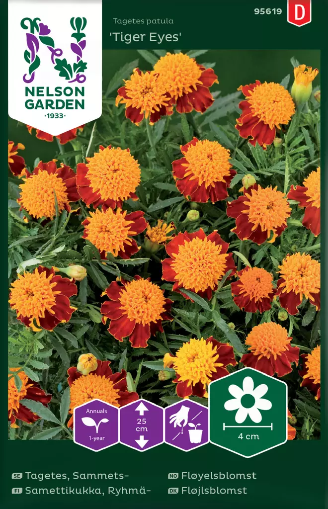 Ryhmäsamettikukka 'Tiger Eyes' siemen, Nelson Garden - Kukkien siemenet - 7312600956193 - 1