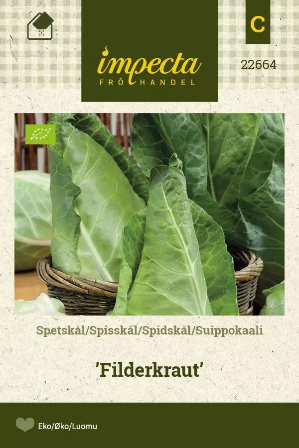 Suippokaali 'Filderkraut' siemen, Impecta - Vihannesten siemenet - 7332756226643 - 1