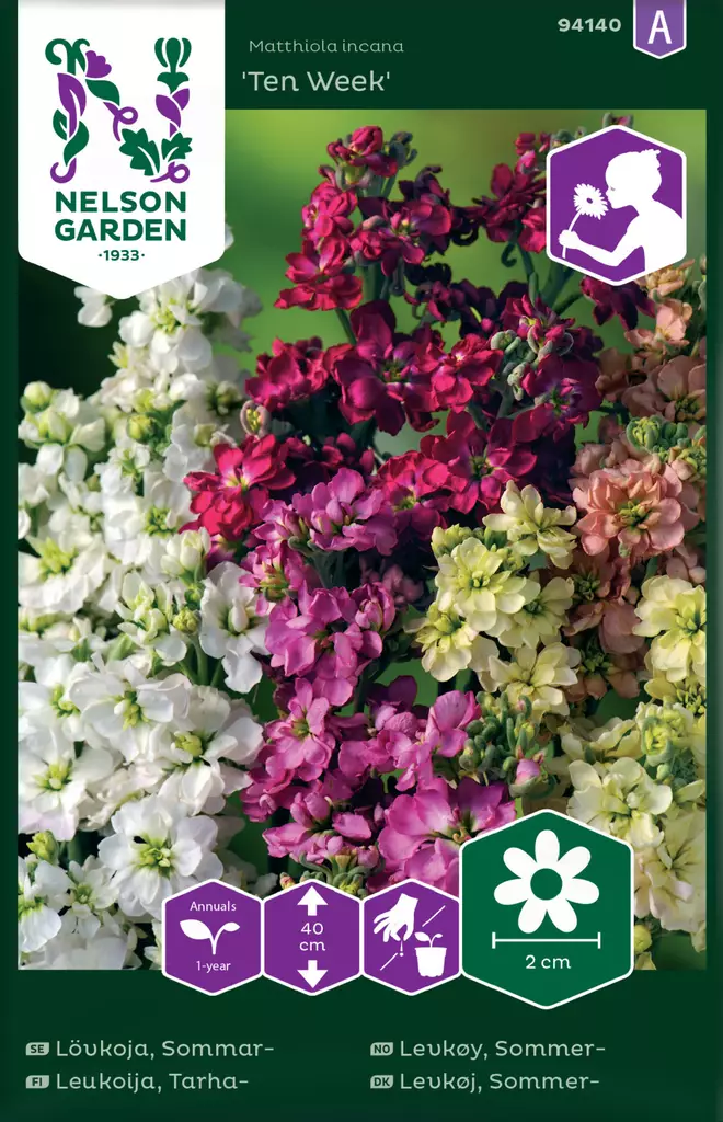 Tarhaleukoija 'Ten Week' siemen, Nelson Garden - Kukkien siemenet - 7312600941403 - 1