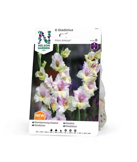 Miekkalilja 'Mon Amour', Nelson Garden - Kukkasipulit - 7312600728554 - 1