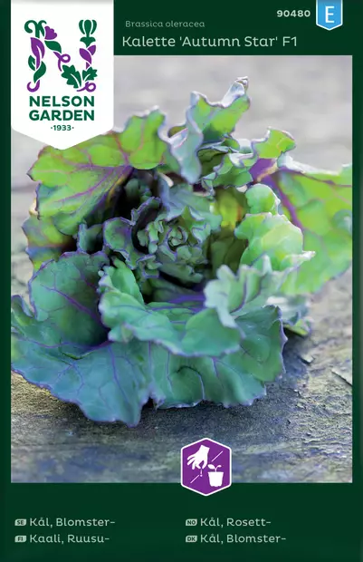 Ruusukaali 'Autumn Star' siemen, Nelson Garden - Vihannesten siemenet - 7312600904804 - 1