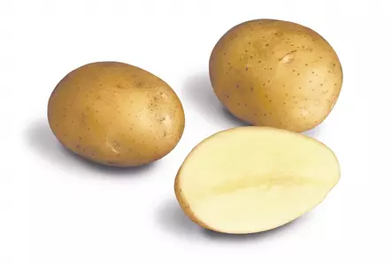 Siemenperuna Van Gogh 5 kg - Kesäperunat/syysperunat - 6420617361174 - 2