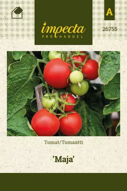 Tomaatti 'Maja', siemen, Impecta - Vihannesten siemenet - 7332756267554 - 1