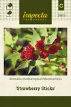 Marjasavikka 'Strawberry Sticks', siemen, Impecta - Vihannesten siemenet - 7332756298114 - 1