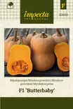 Myskikurpitsa 'Butterbaby' F1, siemen, Impecta - Vihannesten siemenet - 7332756236604 - 1