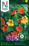 Pensasköynnöskrassi 'Tom Thumb' väriseos, siemen, Nelson Garden - Kukkien siemenet - 7312600938564 - 1