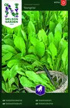 Salaattisikuri 'Sangria' siemen, Nelson Garden - Vihannesten siemenet - 7312600917224 - 1