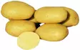 Siemenperuna Afra 3 kg - Talviperunat - 6417486001294 - 1