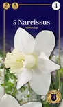 Torvinarsissi 'Watch Up' 5 kpl - Kukkasipulit - 8711148252504 - 1