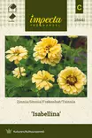Tsinnia 'Isabellina', siemen, Impecta - Annossiemenet - 7332756284414 - 1