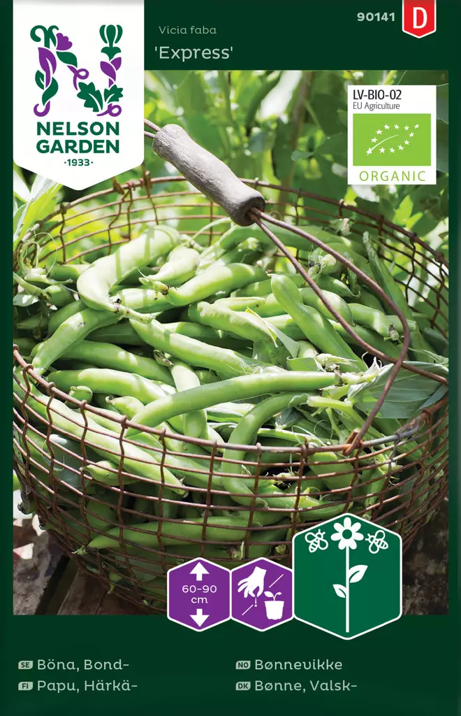 Härkäpapu 'Express' siemen, Nelson Garden - Vihannesten siemenet - 7312600901414 - 1