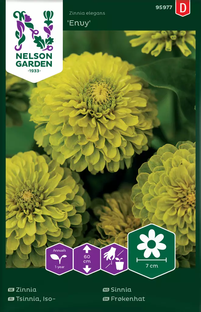 Isotsinnia 'Envy' siemen, Nelson Garden - Kukkien siemenet - 7312600959774 - 1