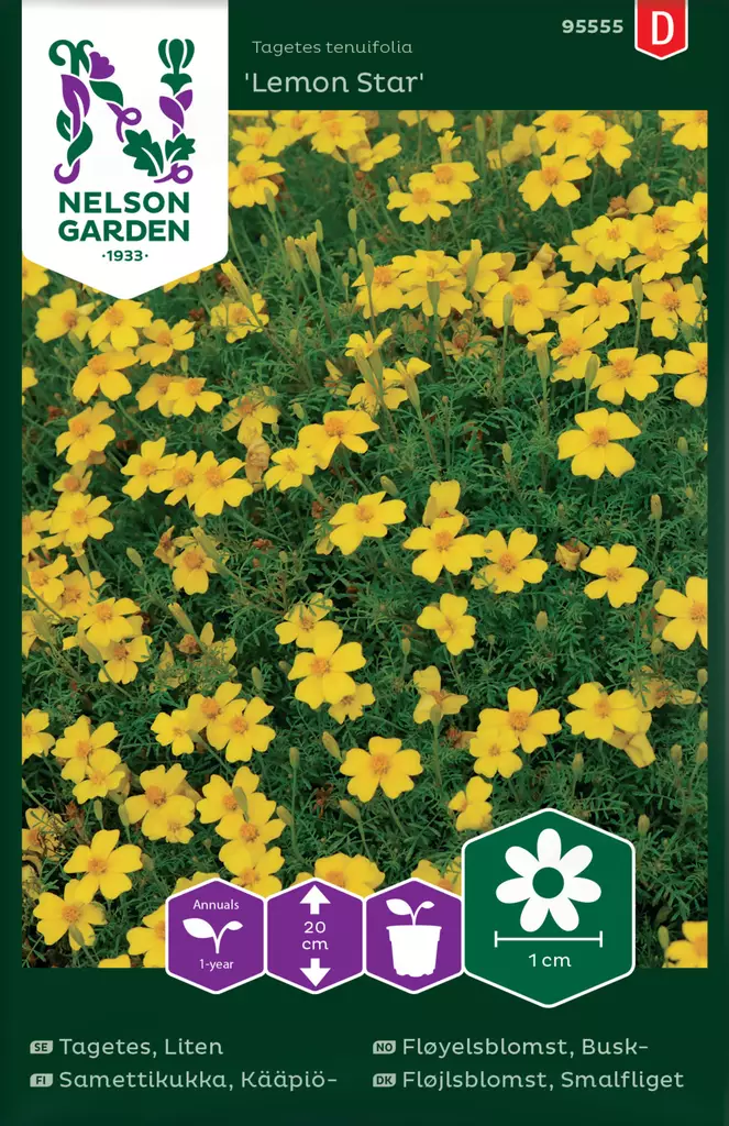 Kääpiösamettikukka 'Lemon Star' siemen, Nelson Garden - Kukkien siemenet - 7312600955554 - 1